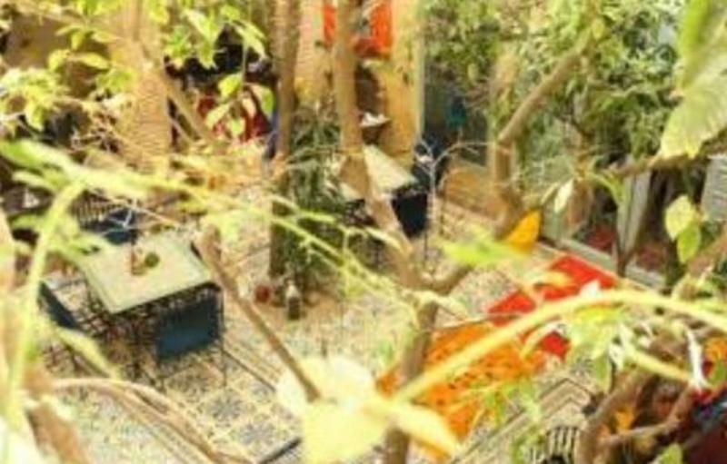 Riad Les Jardins De Kesali Marrakesh Extérieur photo